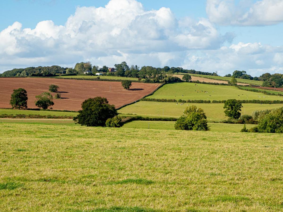 Frith Green Villa Bromyard Eksteriør billede