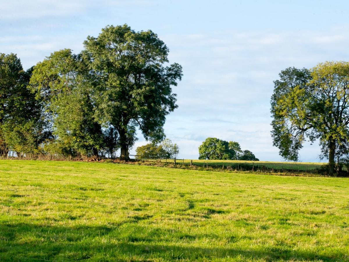 Frith Green Villa Bromyard Eksteriør billede